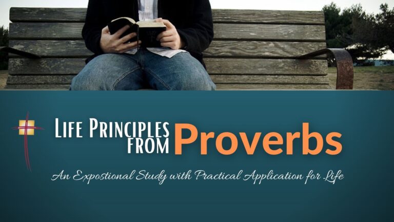 Life Principles graphi